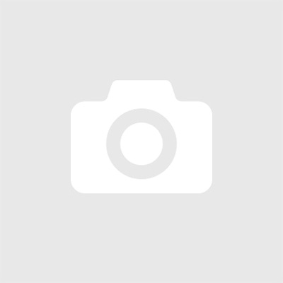 Argus Flugmotor As 8 B Handbuch f&uuml;r Bedienung und Reparaturhinweise